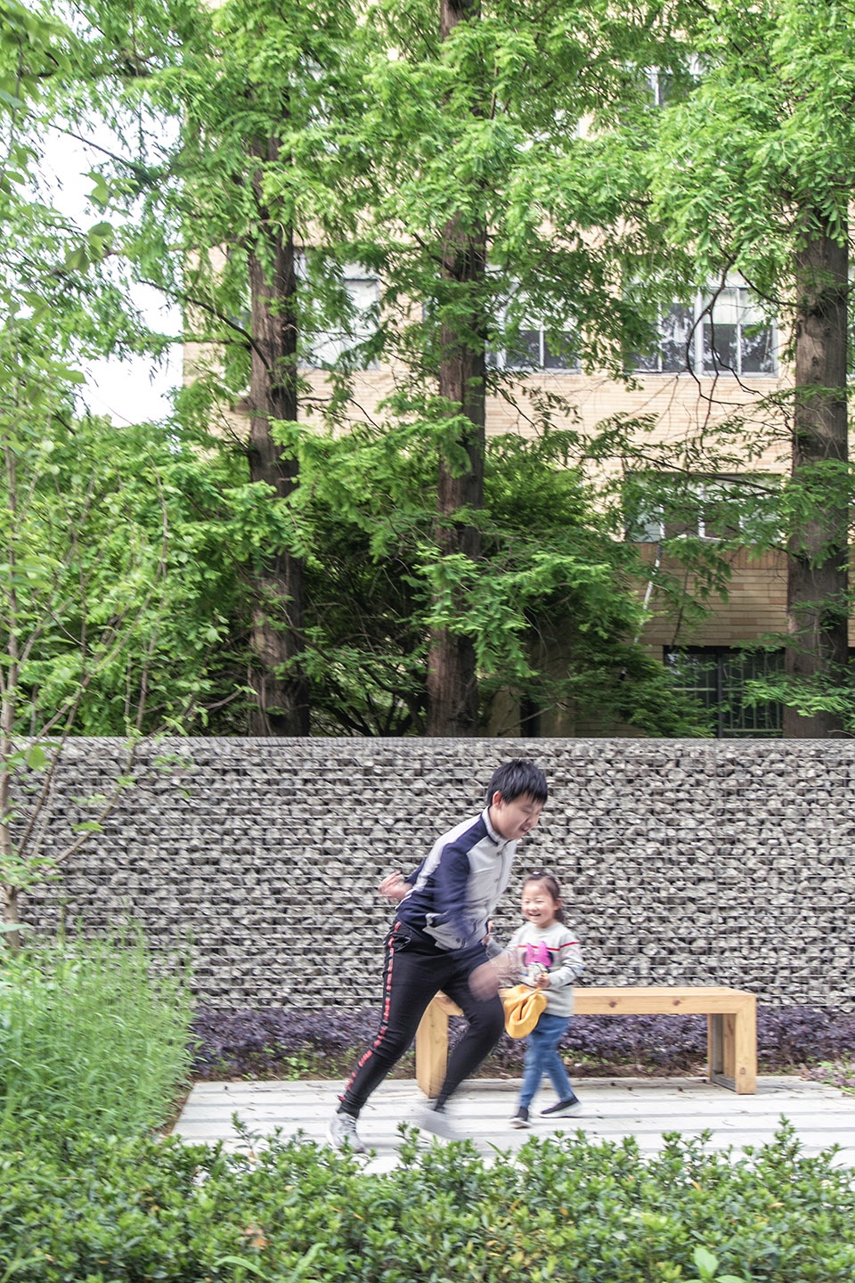 同济大学四平校区四个广场,绿色更新典范-44