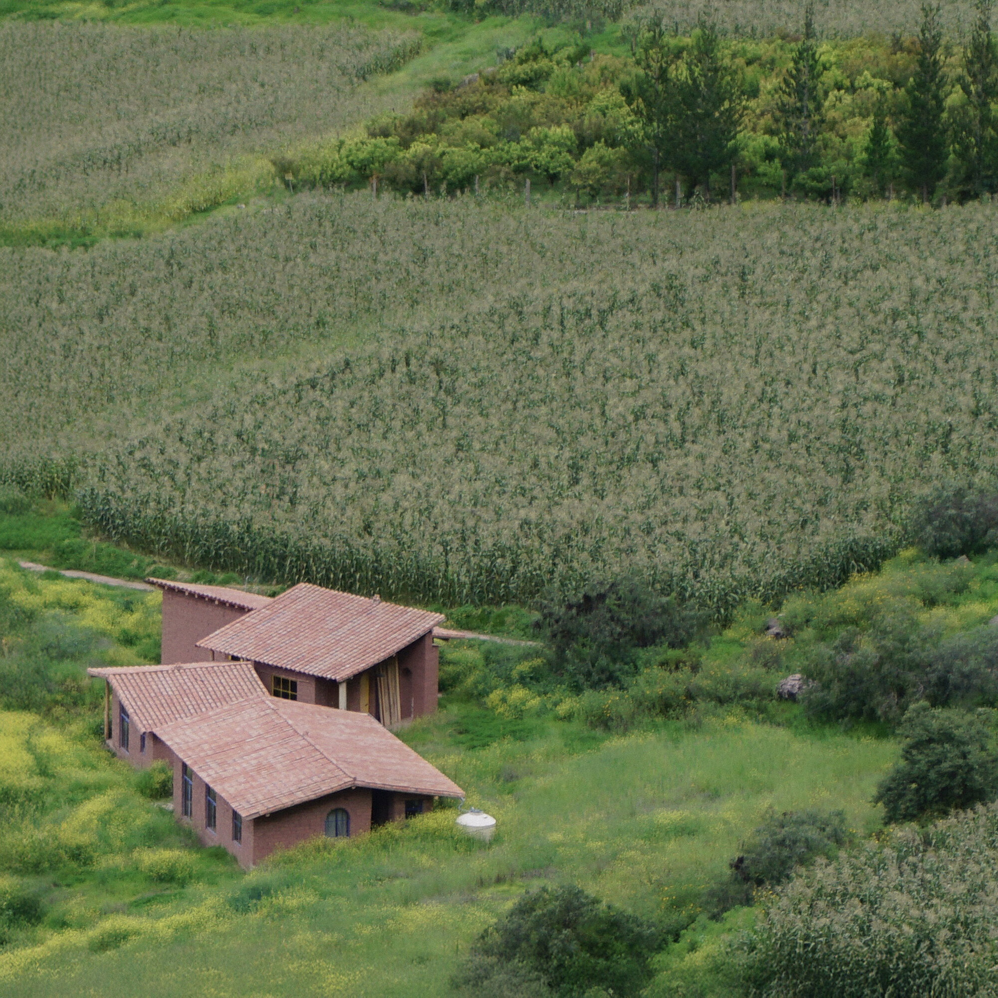 Rural Housing and Lodging – Dormis Donata / Taller MACAA (Misión de Arquitectura, Construcción y Arte en los Andes)-44