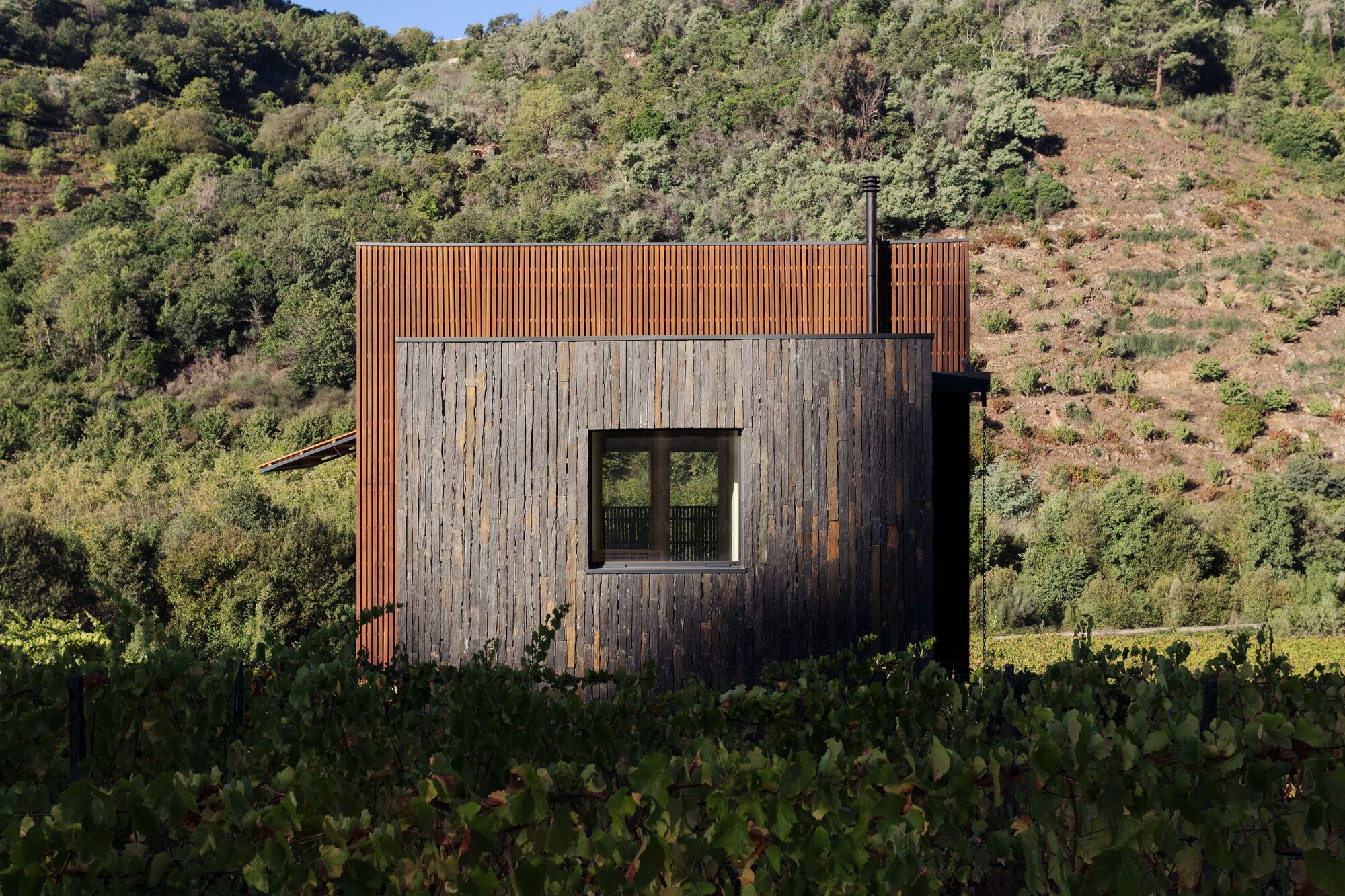 拉加尔宅邸丨Colajj-28