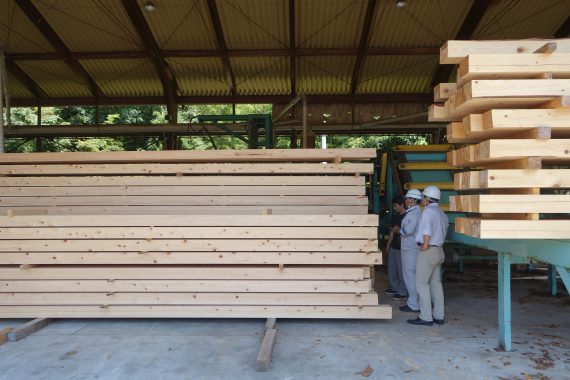 久山幼稚园木材杨氏系数确认-12