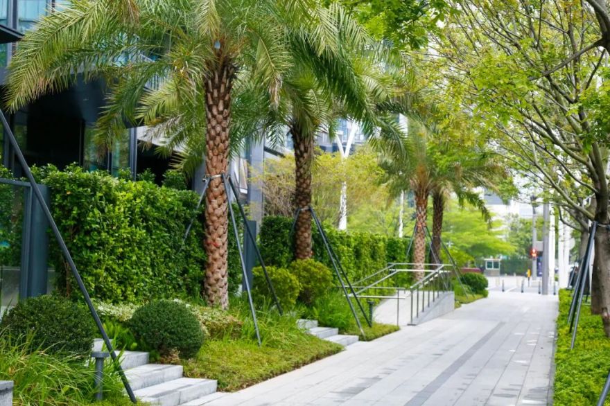 南山中集太子湾大成广场园林景观工程丨中国深圳-14