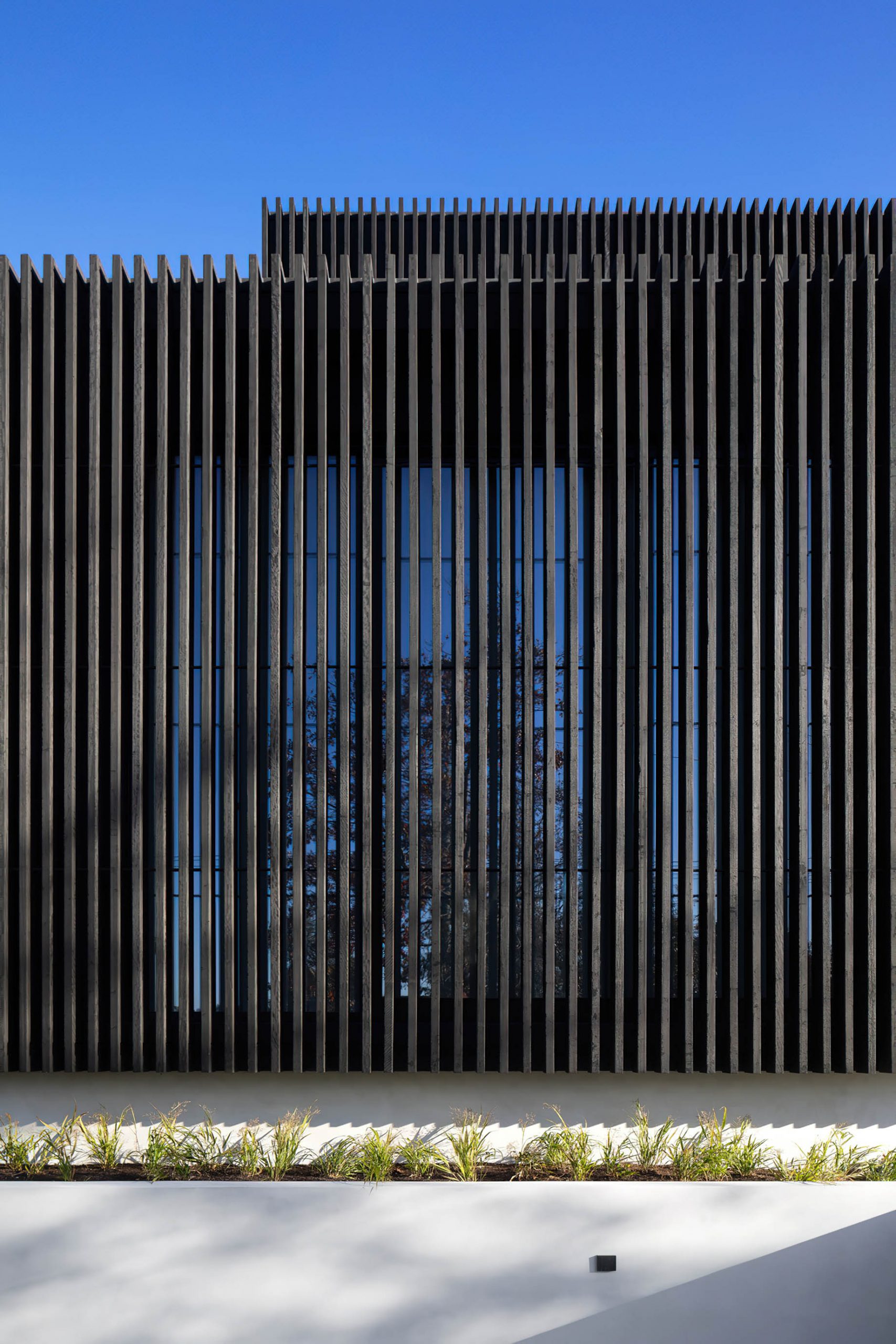 墨尔本 现代当代住宅-11