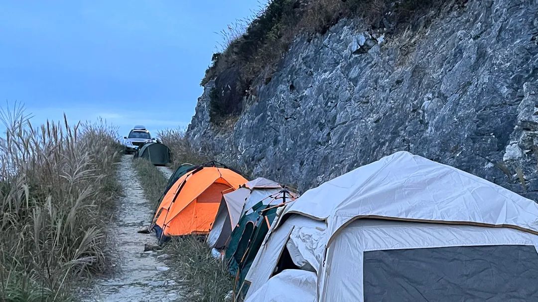 力高设计17周年庆活动丨LICO力高设计-25