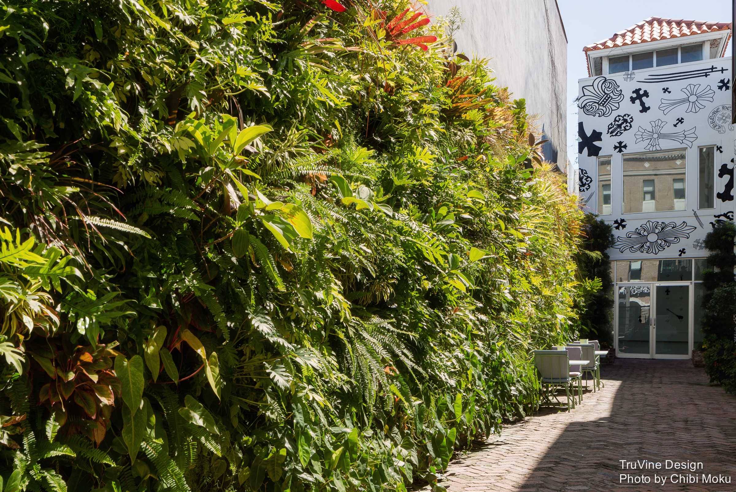 佛罗里达生态绿墙-0