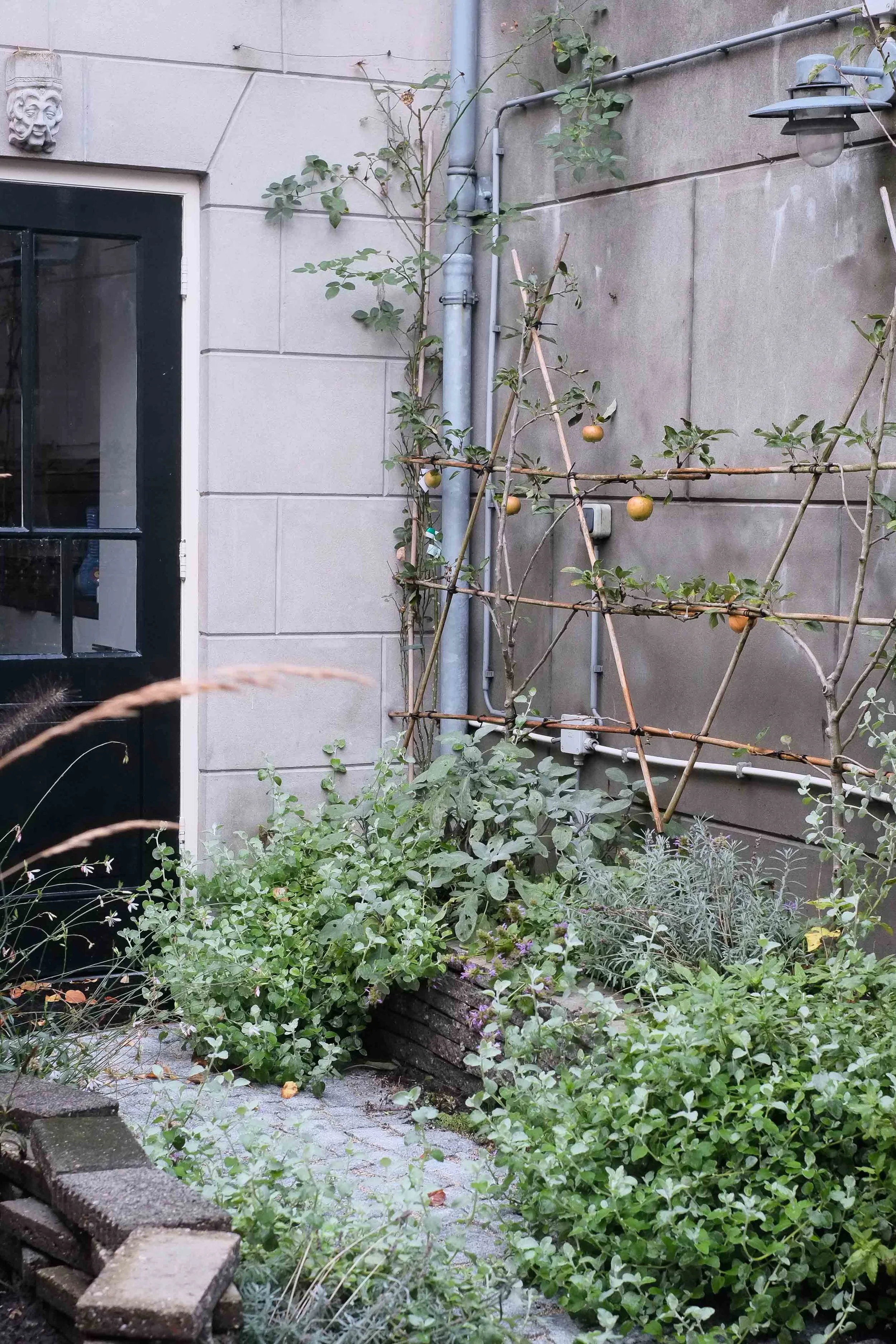 oude stadstuin Alkmaar 园林设计丨未明确提及-3