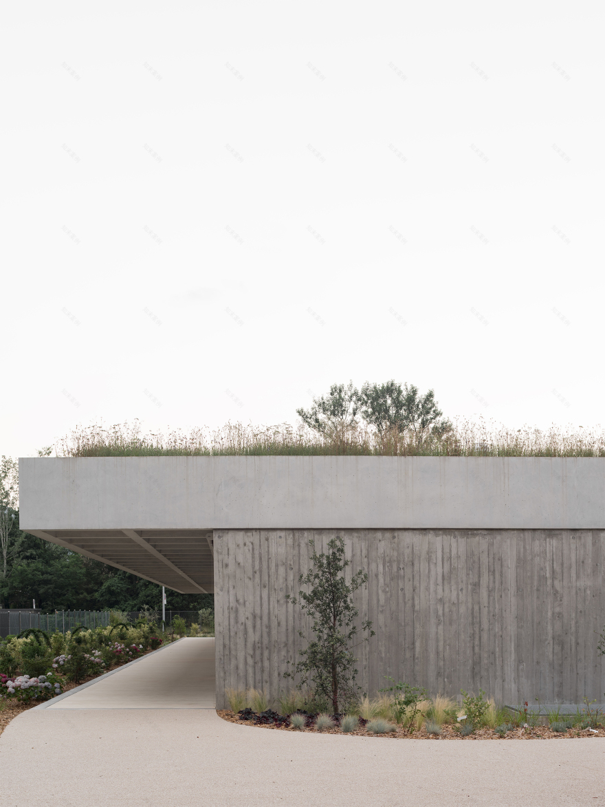 洛迦诺幼儿园丨瑞士丨cappelletti sestito architetti-65