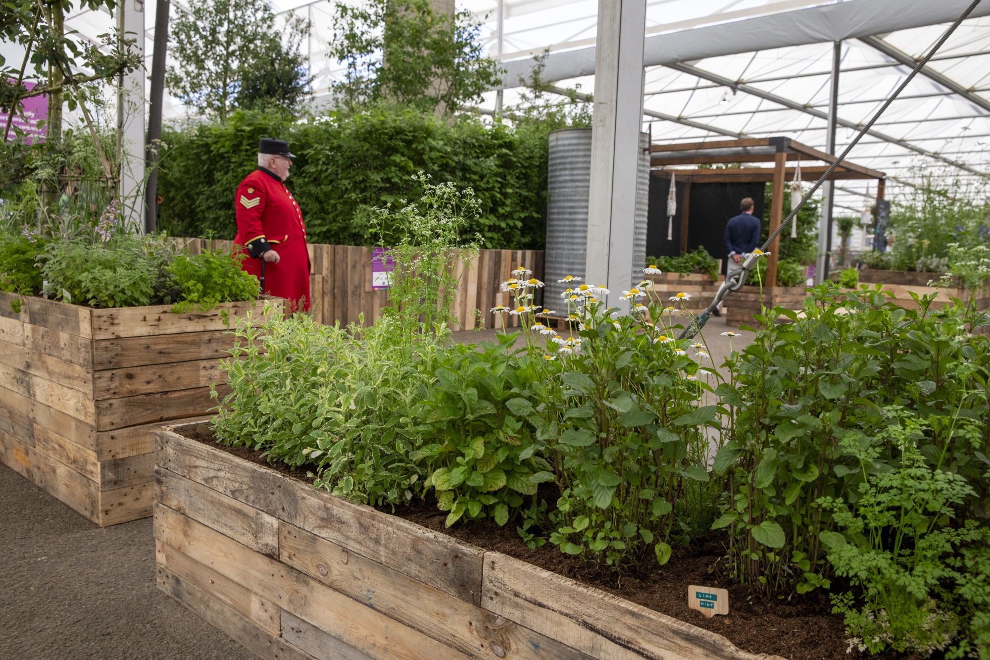 2024切尔西花园展获奖作品丨英国丨Royal Horticultural Society-468