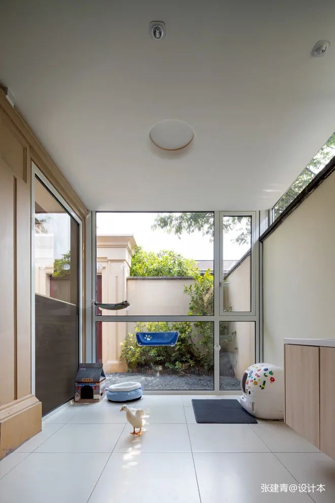 宠物博主用30万装完280㎡别墅？！3猫1可达鸭的智能理想家-49
