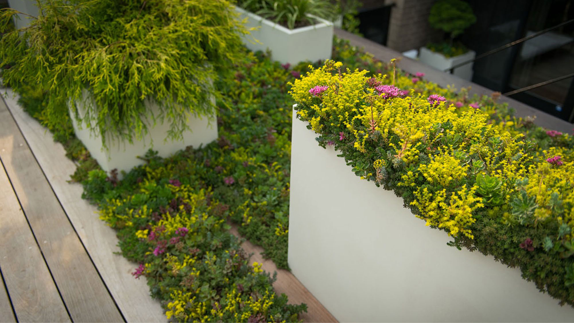 丨美国芝加哥-28