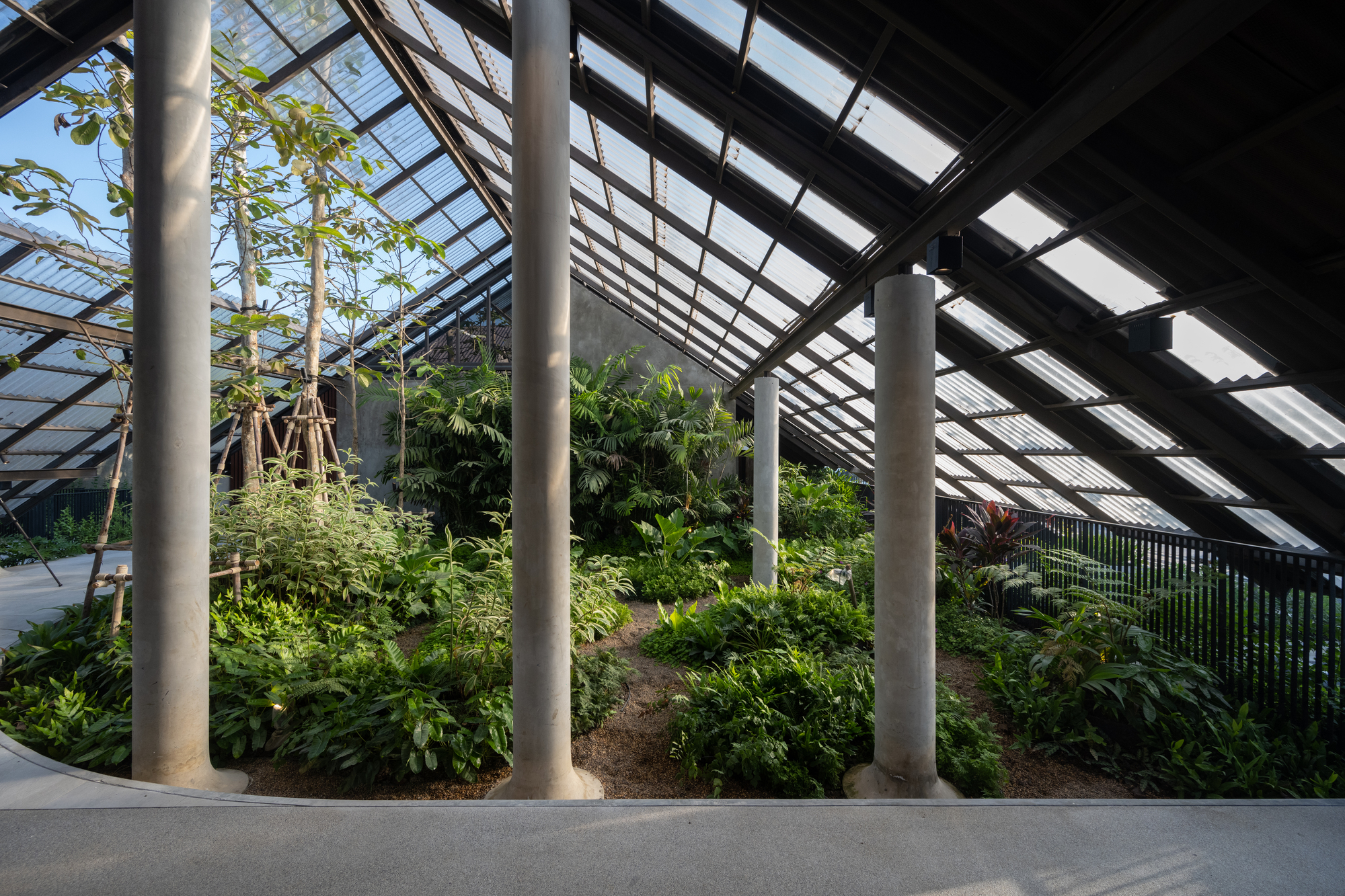 Dog,Human House,EKAR丨泰国佛统-13