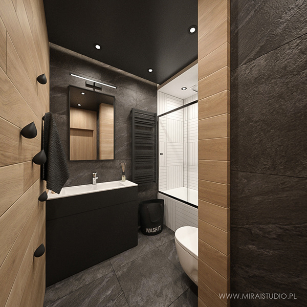 VISUALIZATION vs REALISATION-3