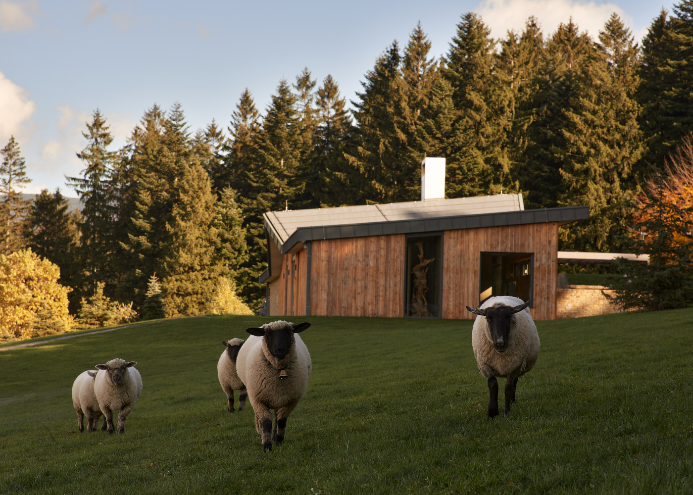 融合自然与现代的木石别墅丨捷克丨WMA architects-42