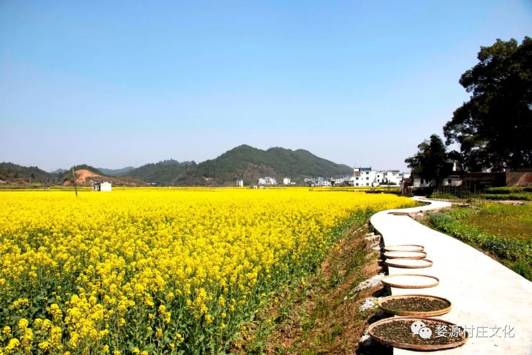 婺源碧山村亲子游新去处,原生态乡村乐园的完美逆袭-6