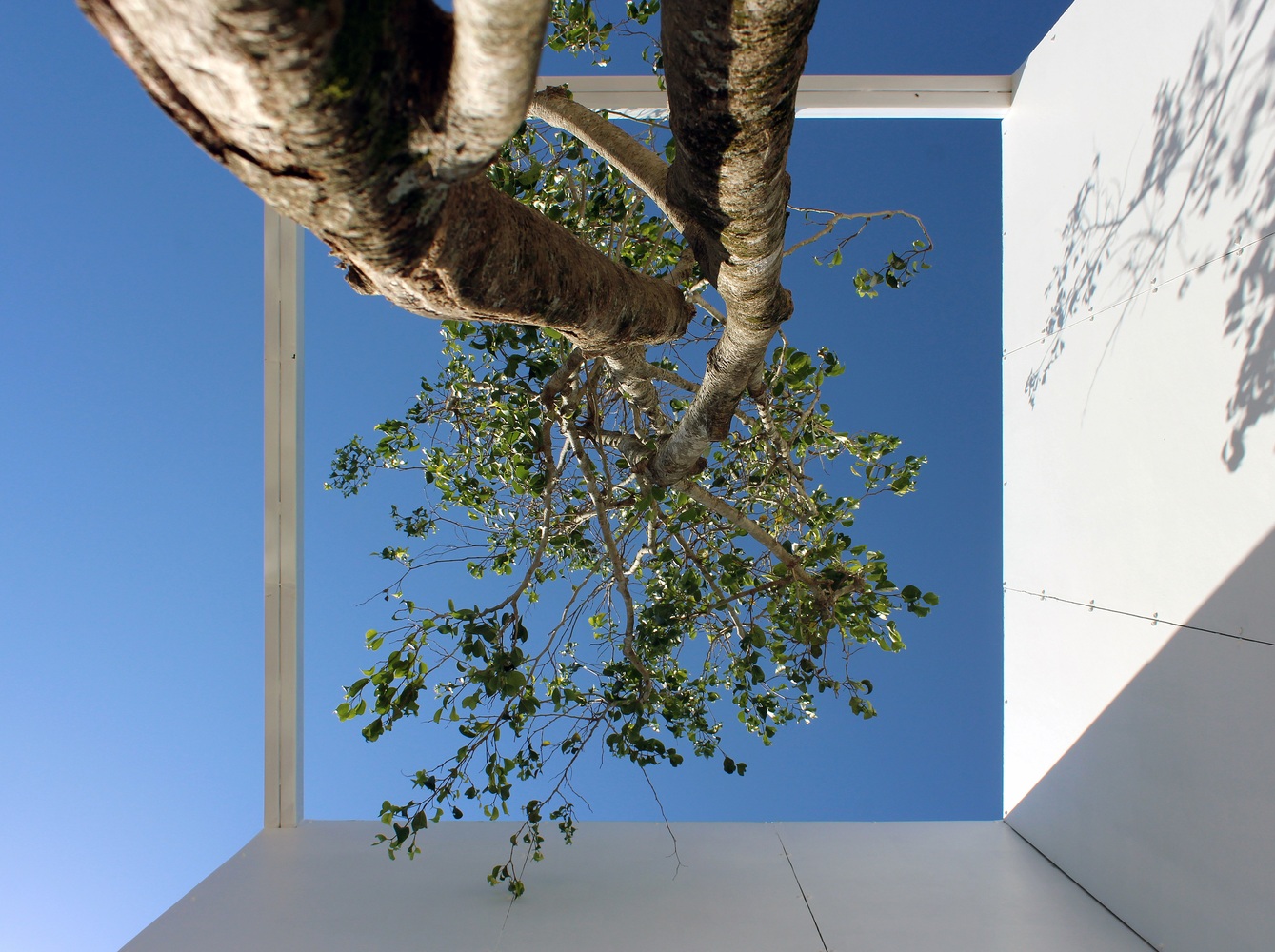 海洋之城的白色三棱镜-32