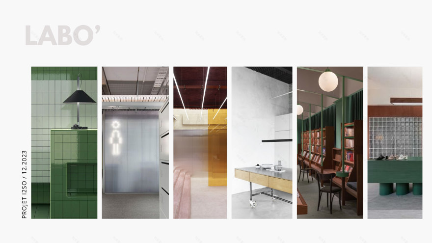 I2SO 大学口腔学院丨法国图卢兹-9