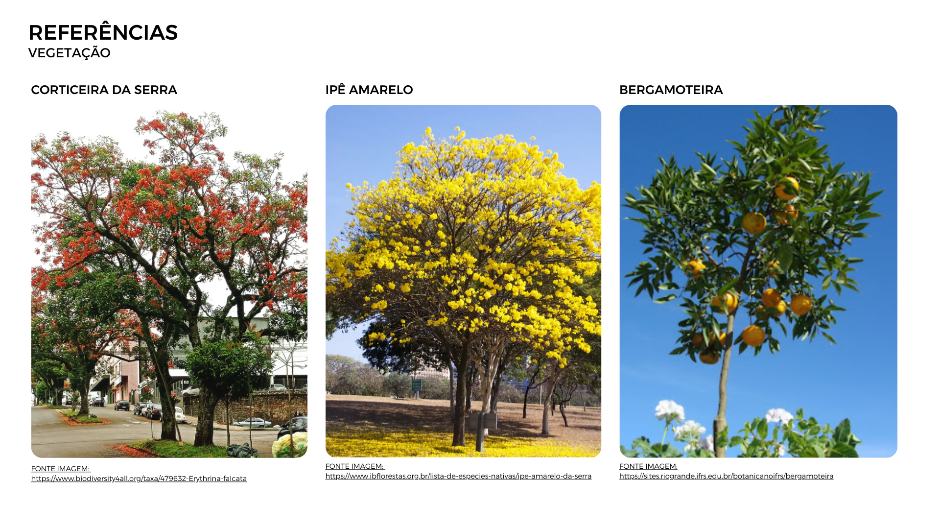 AZENHA: UM NOVO COMEÇO | URBANO IV-23