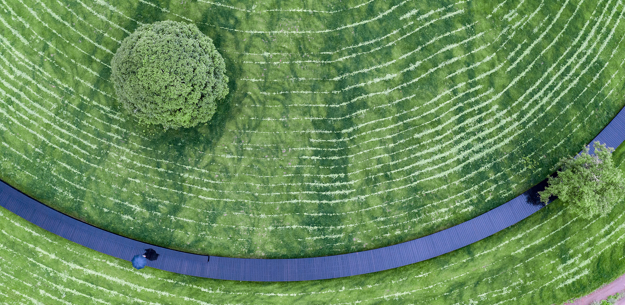 丽江 Hylla Vintage 酒店的 Hylla 高山花园 | 传统与现代的完美融合-16