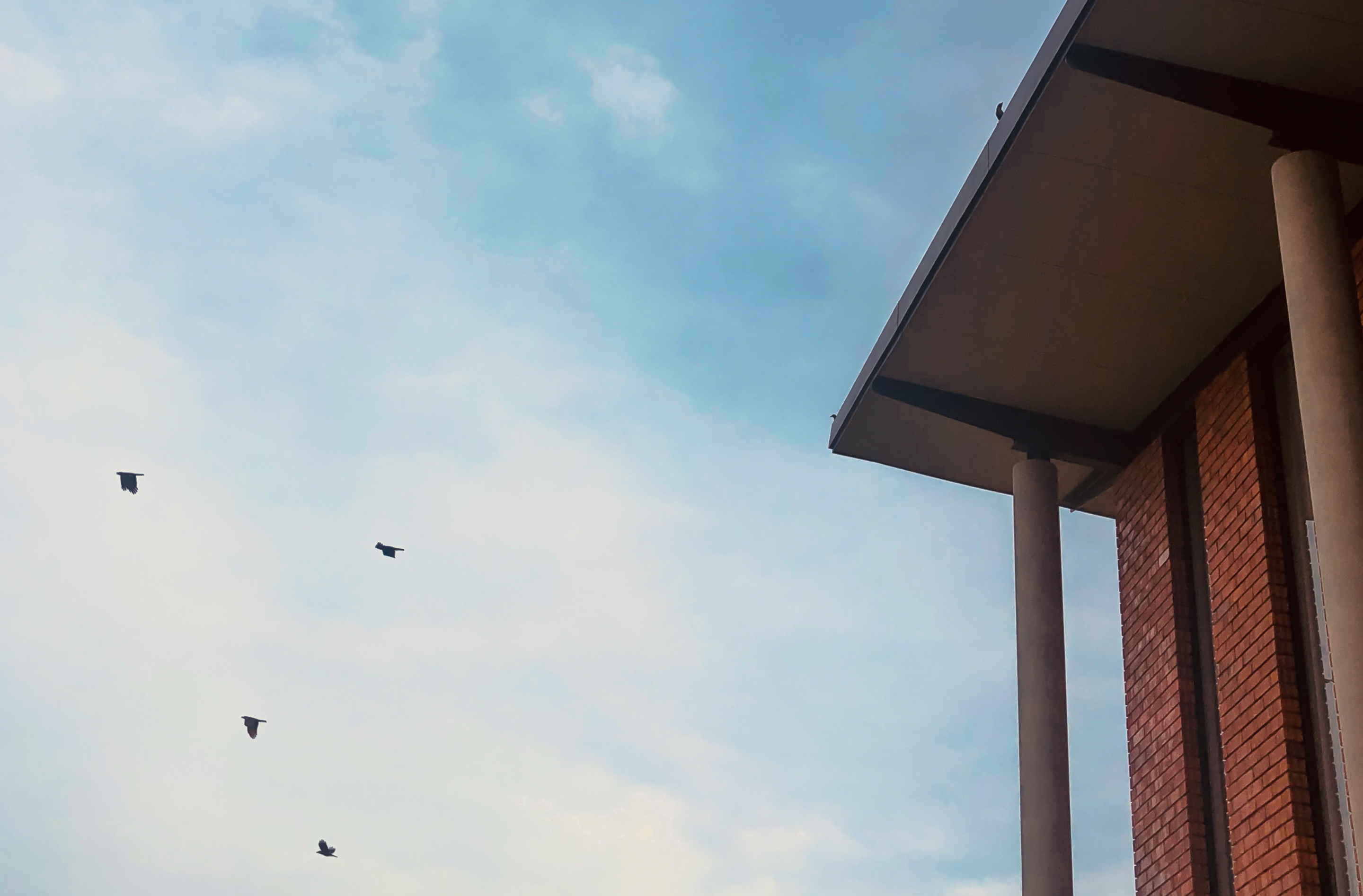 House Layang Layang | Soh Design-7