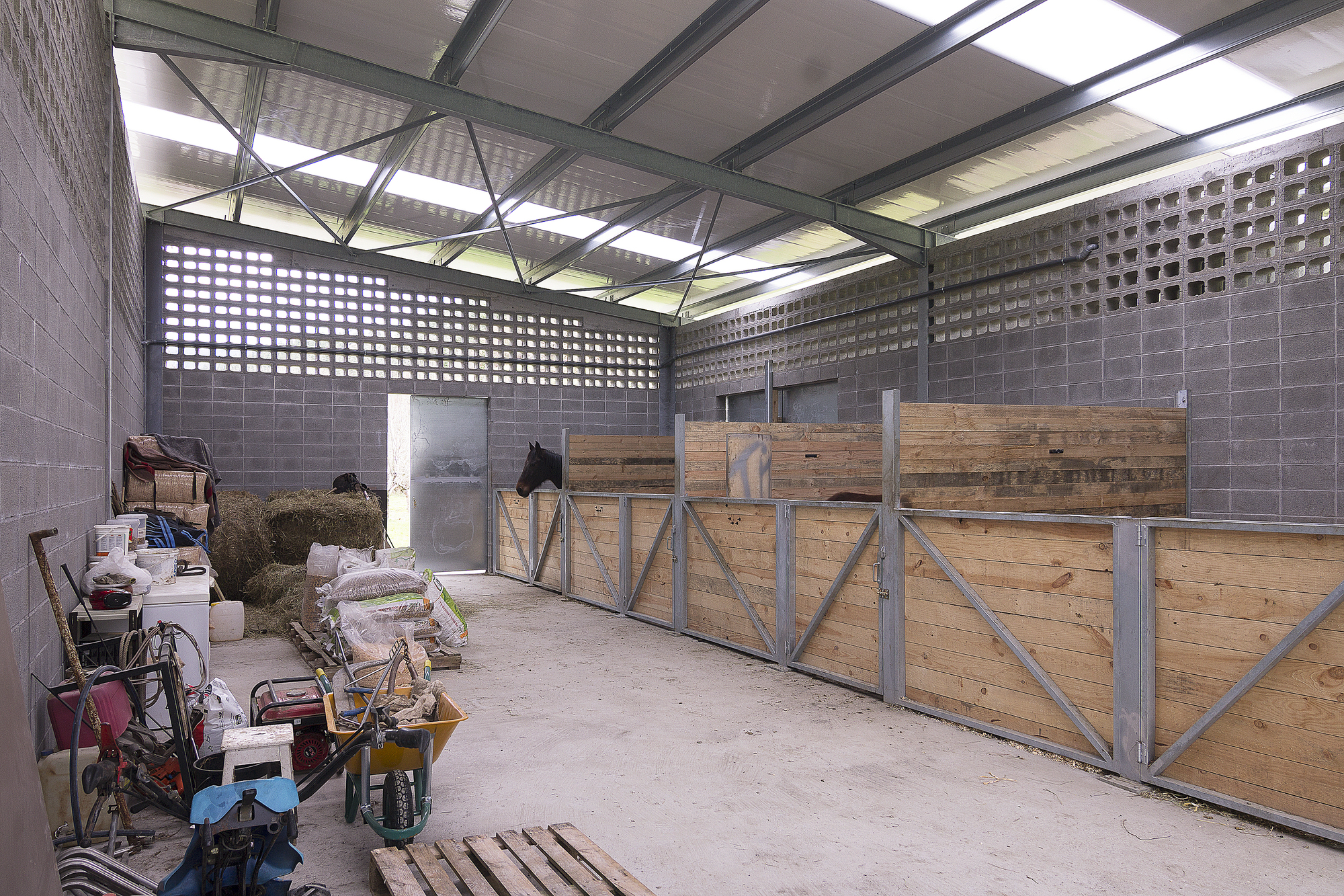 奥莱斯蒂的马厩-13