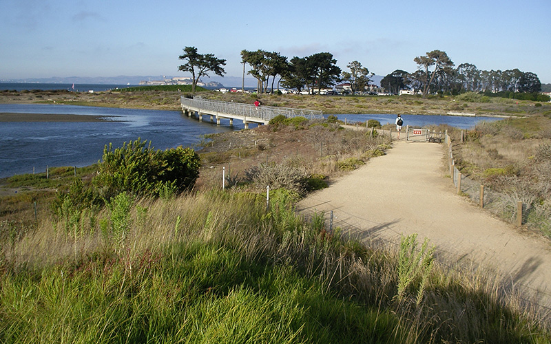 
	Interview with Mary Margaret Jones | asla.org
-8