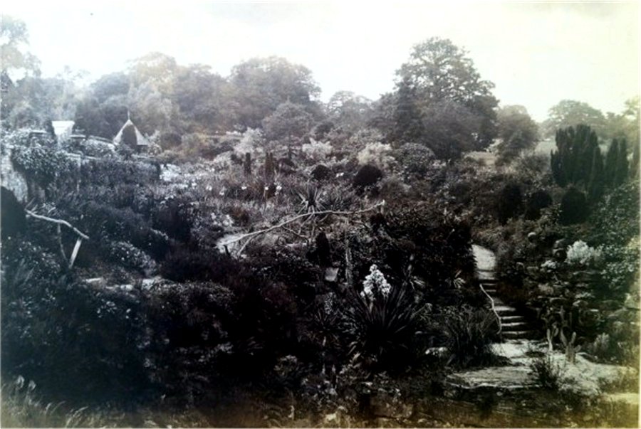 Court Lodge园林景观项目丨James Pulham and Son-24