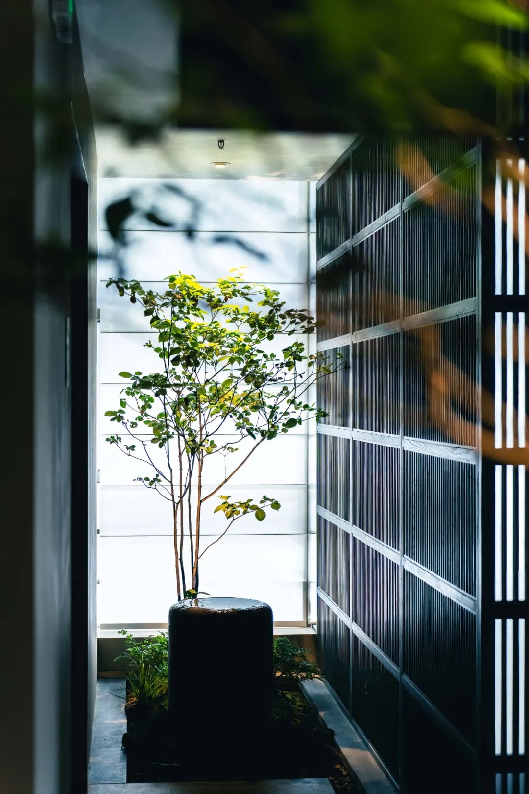 深圳霖家茶空间丨中国深圳-24