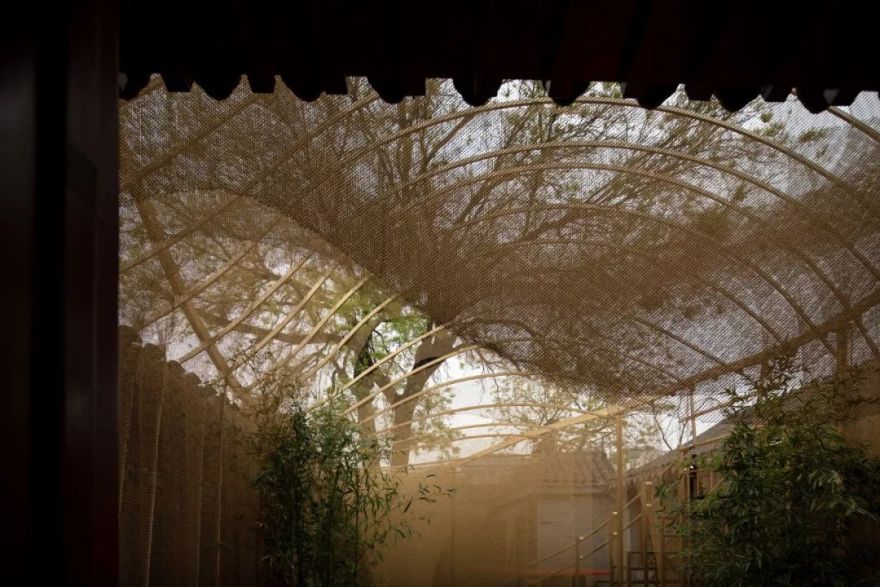 北京雀巢感CAFÉ-21