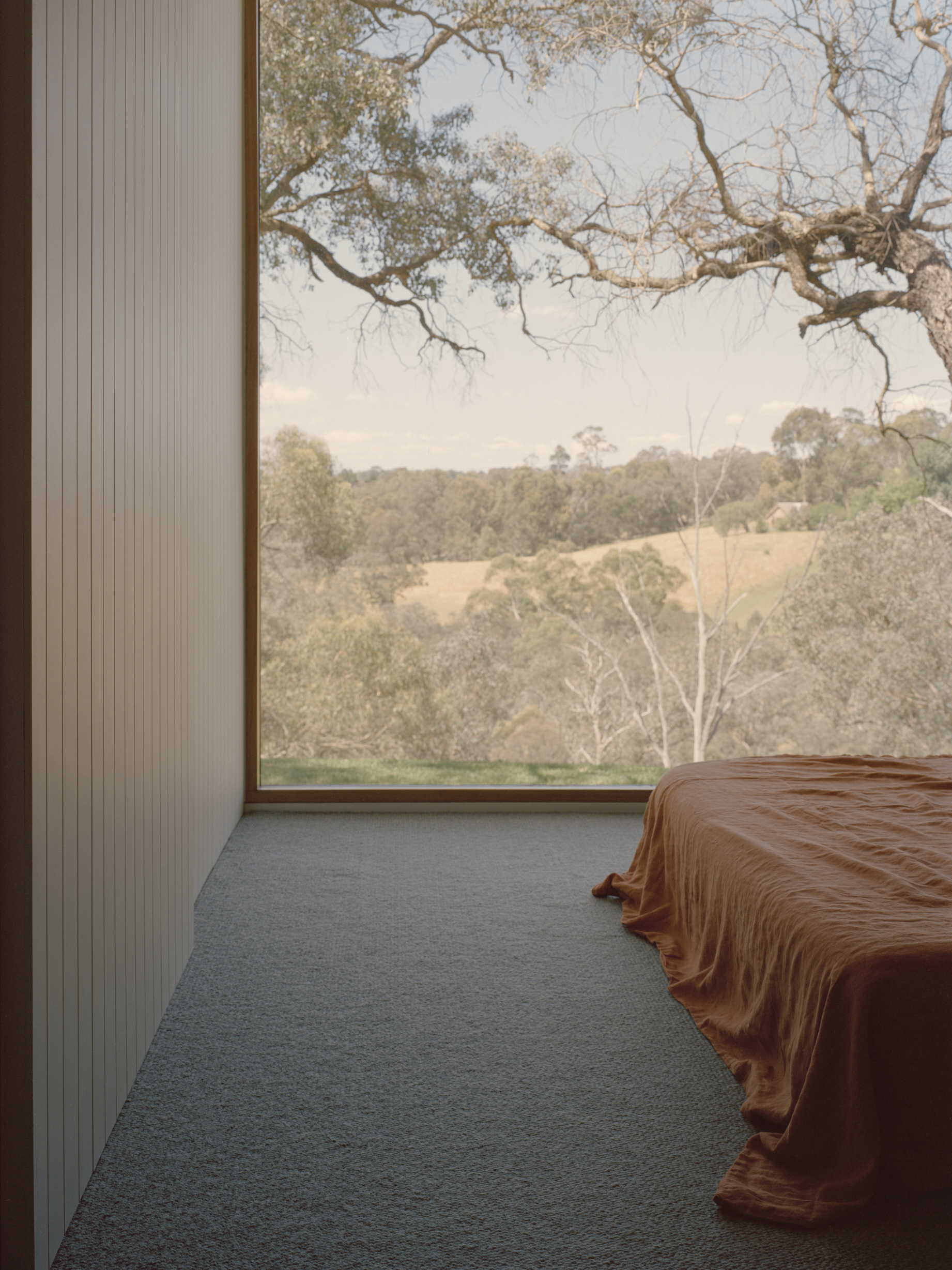 Warrandyte House(沃兰代特住宅)丨澳大利亚墨尔本丨Figureground Architecture-41