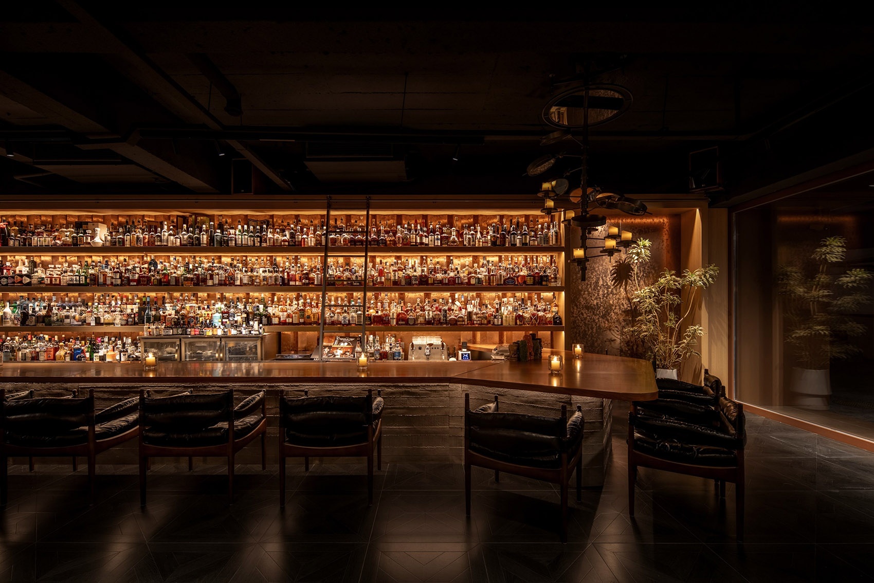 灵泊酒吧丨中国丹东丨白菜设计-33