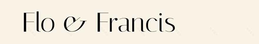 FF 护肤品牌形象-1