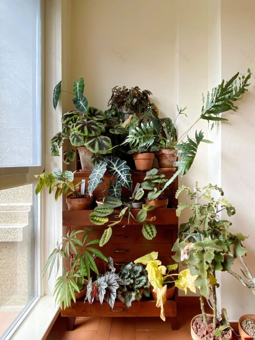 90后女孩回乡打造的梦幻家居丨中国浙江丨屋主路问-47