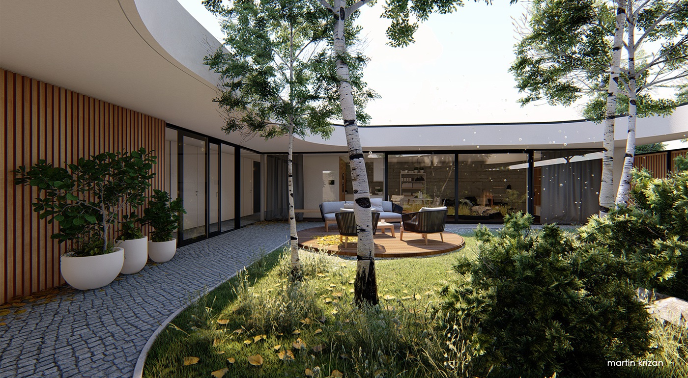 Anastasiya Gushchina丨庭院丨Atrium House-2