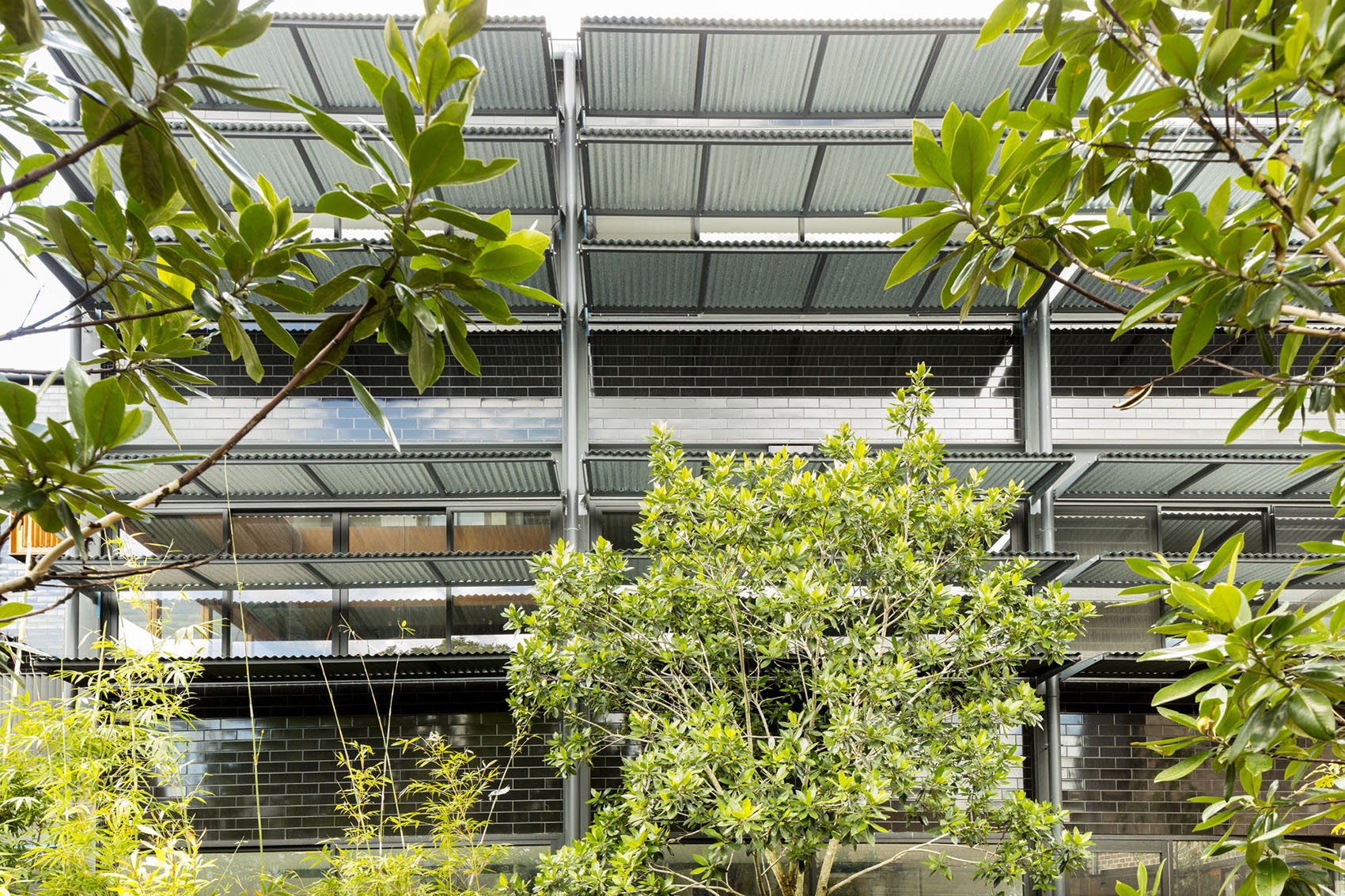 102 The Mill 住宅丨澳大利亚悉尼丨Carter Williamson Architects-37