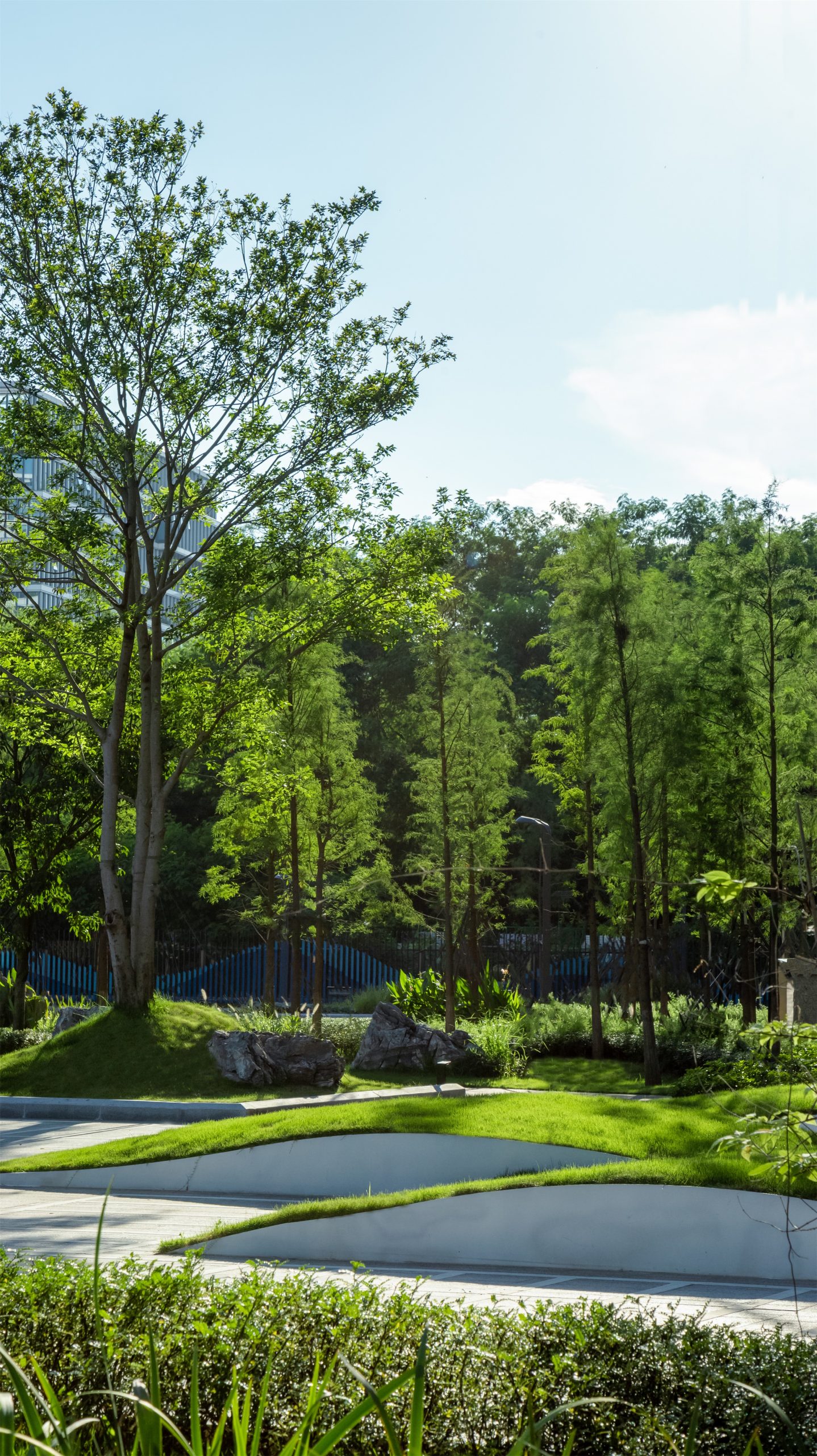 深圳市宝安中学(集团)海天学校丨中国深圳丨HILL 希尔景观-51