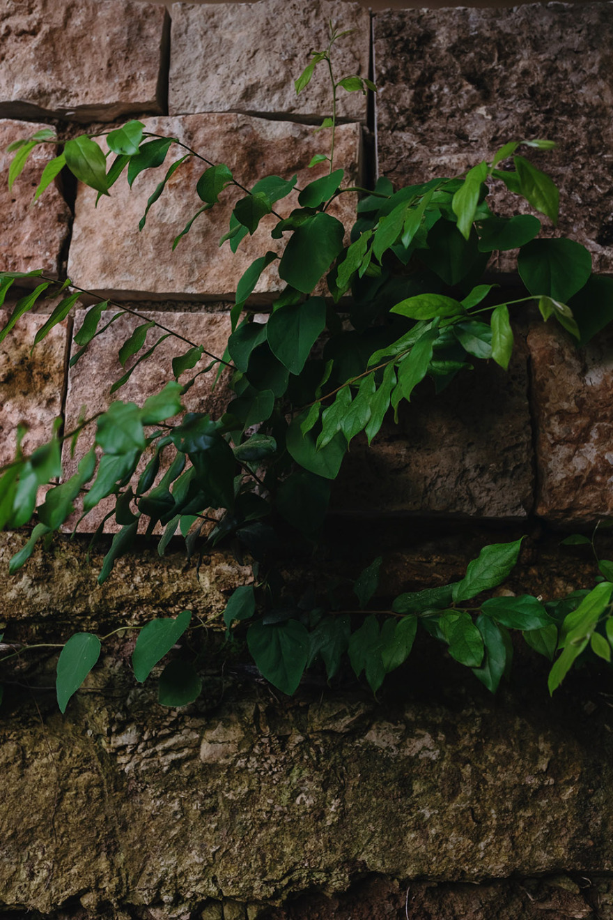 大地礼拜堂,墨西哥 / Cabrera Arqs-57