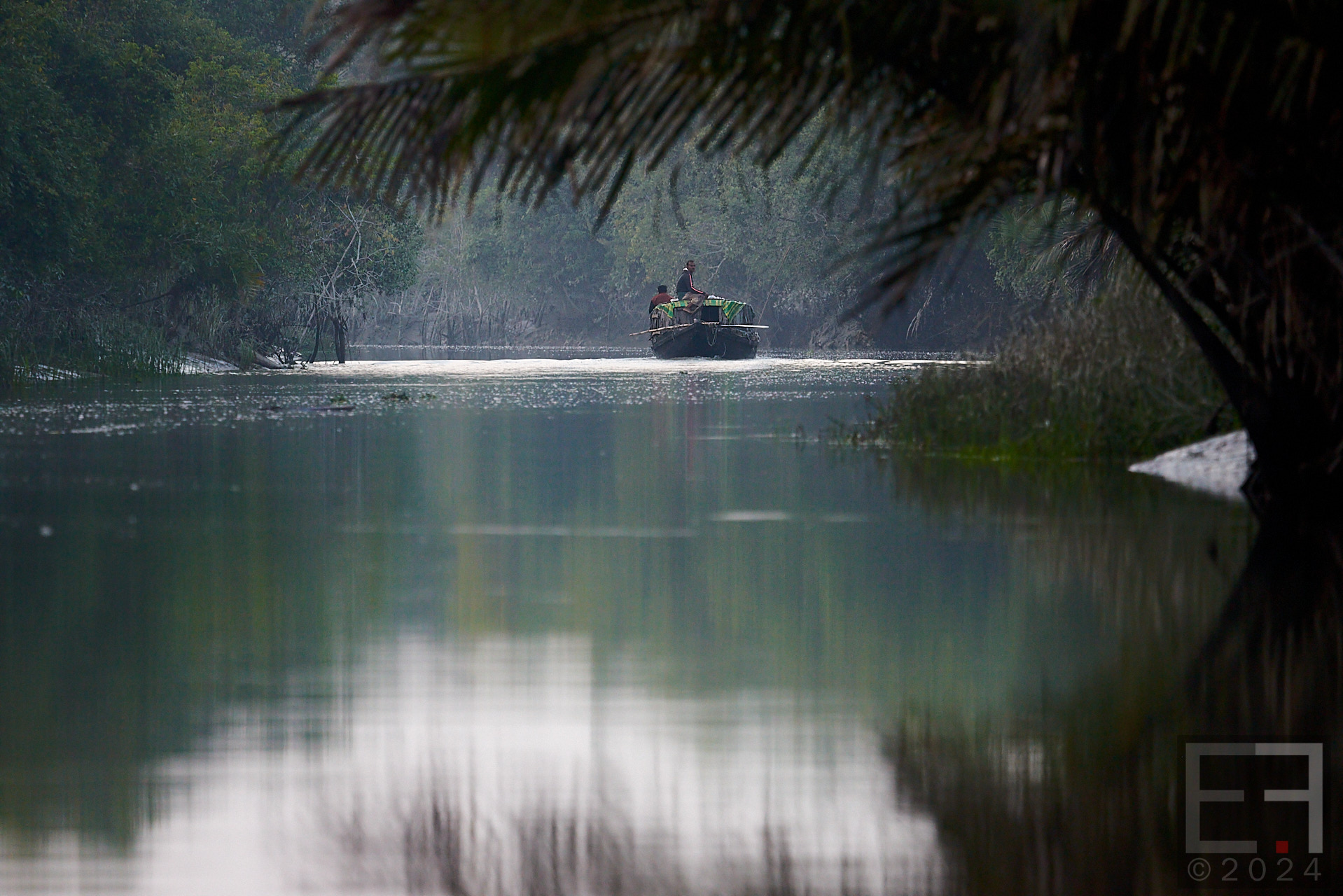 孟加拉国孙德尔本斯红树林保护与开发-18