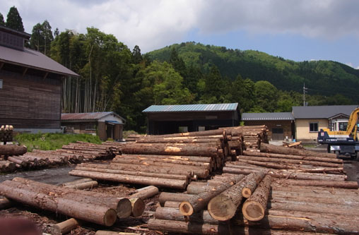 函館山プロジェクト:製材所と敷地丨究建築研究室Q  Labo.与大学研究室-9