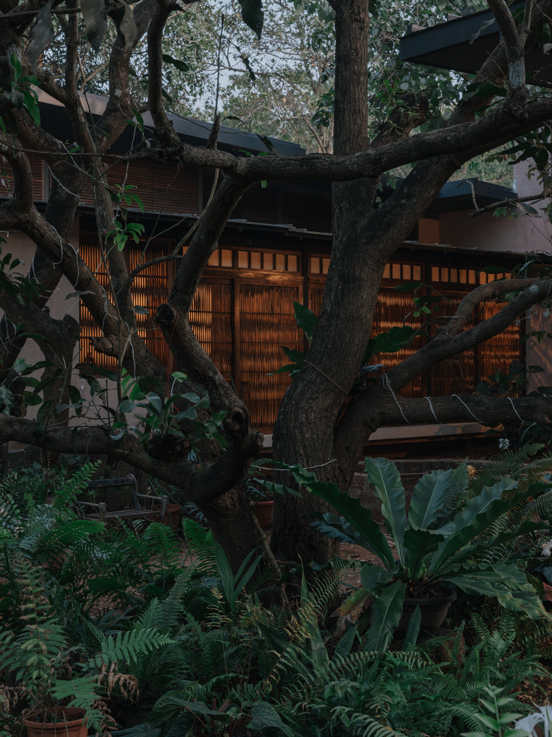 科尔朱埃姆的房子丨Field Atelier-25