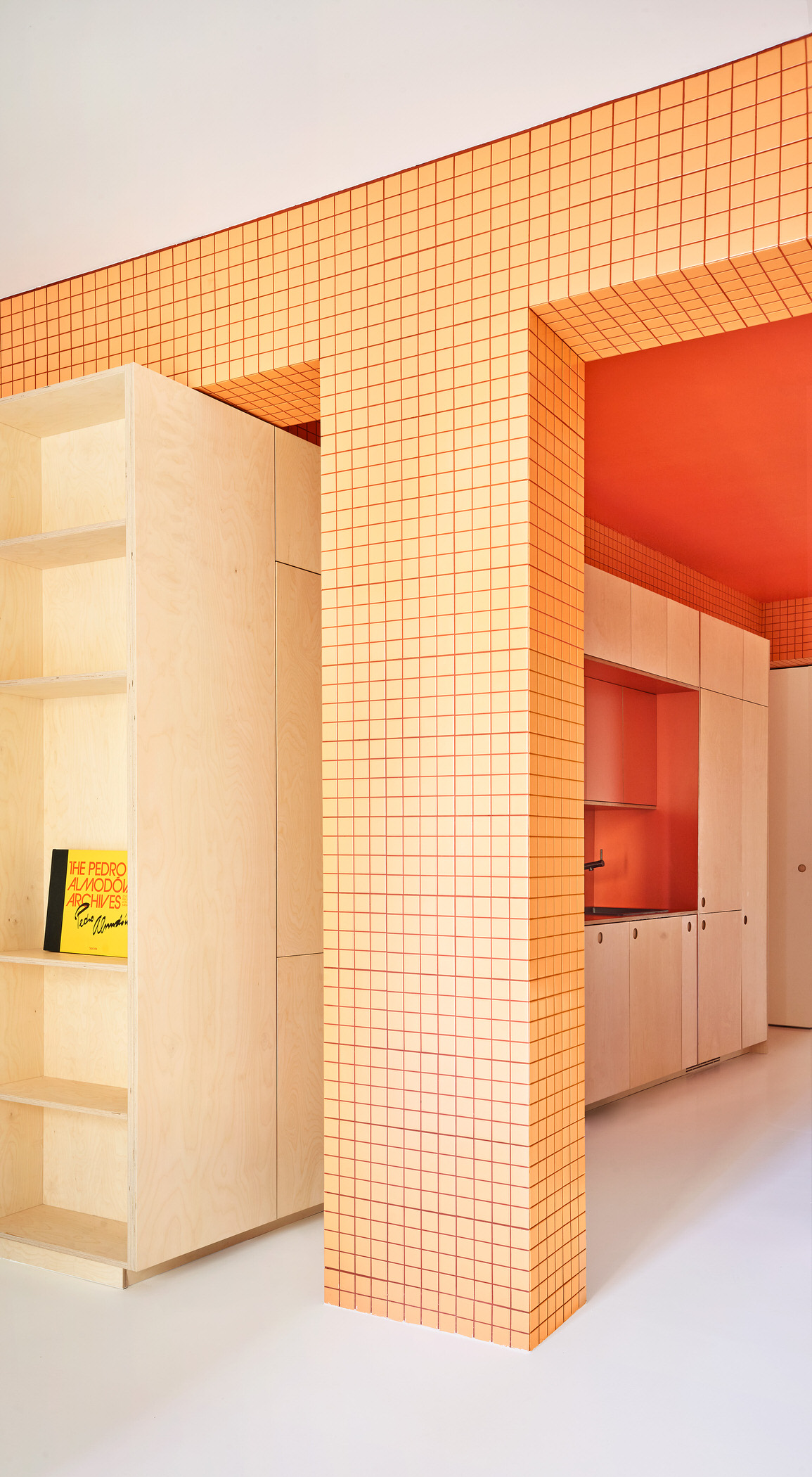 马德里紧凑型公寓丨西班牙马德里丨Gonzalo del Val + Toni Gelabert-31