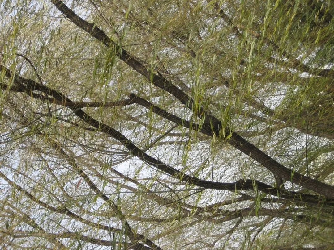 BoiEwan  局部北京-10