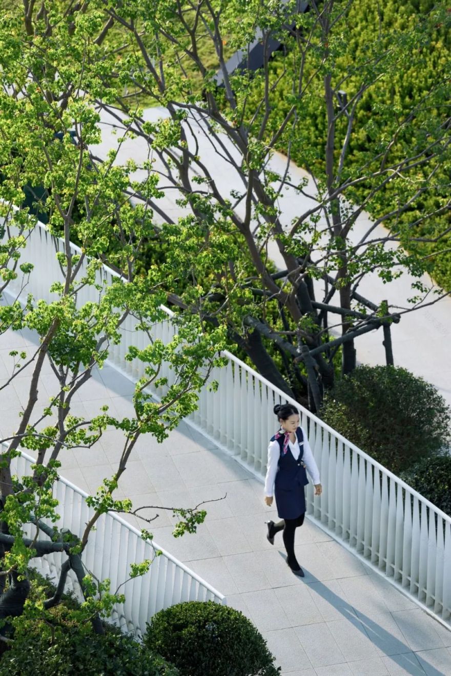 金小瑞的自然探索之旅 | 金辉·优步学府-28