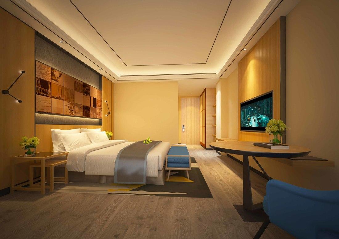 安徽芜湖某酒店设计-2