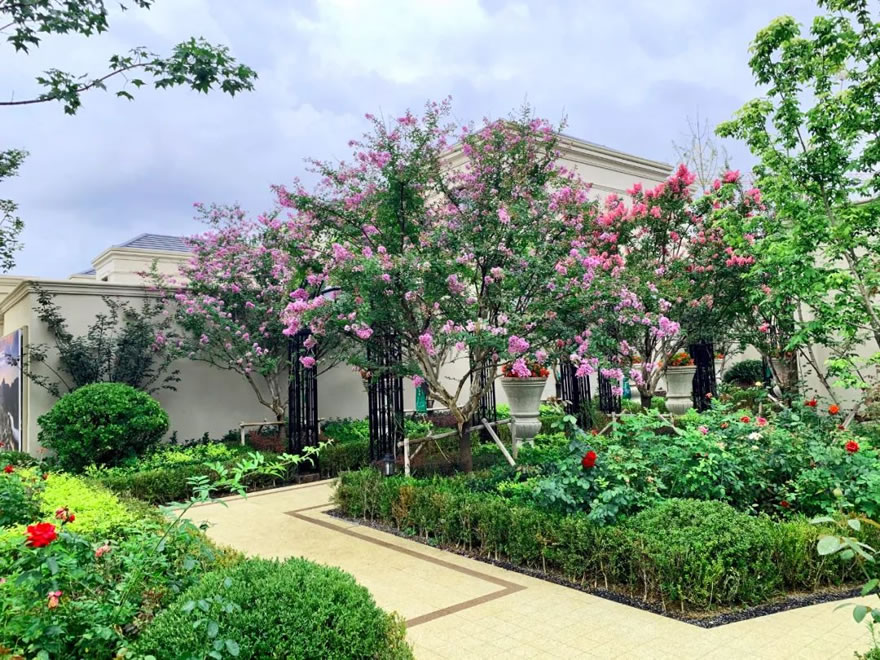 绿城玫瑰园葡萄酒小镇丨中国大连丨浙江蓝颂园林景观设计集团有限公司-63