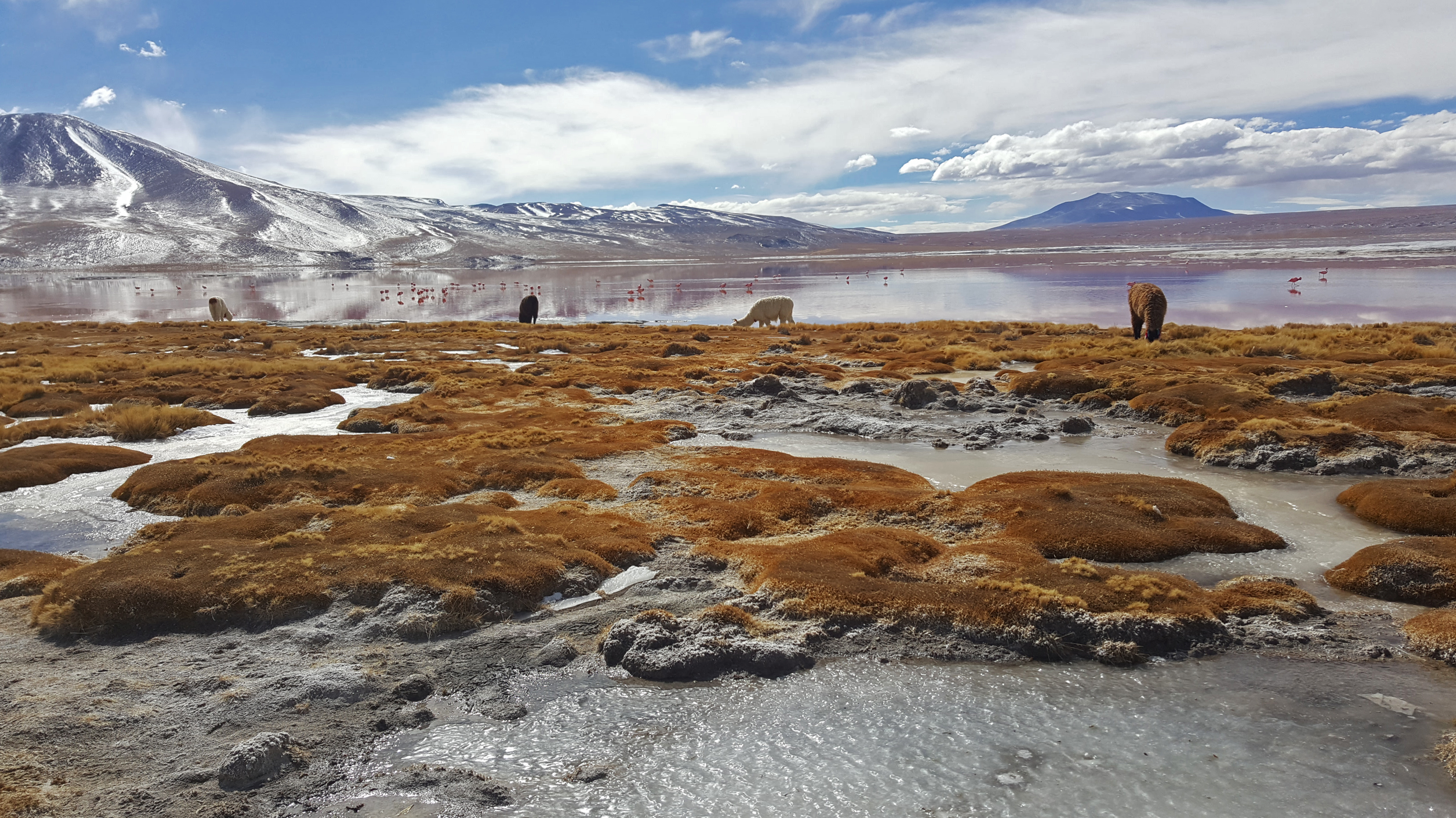 Freezing in Bolivia-22