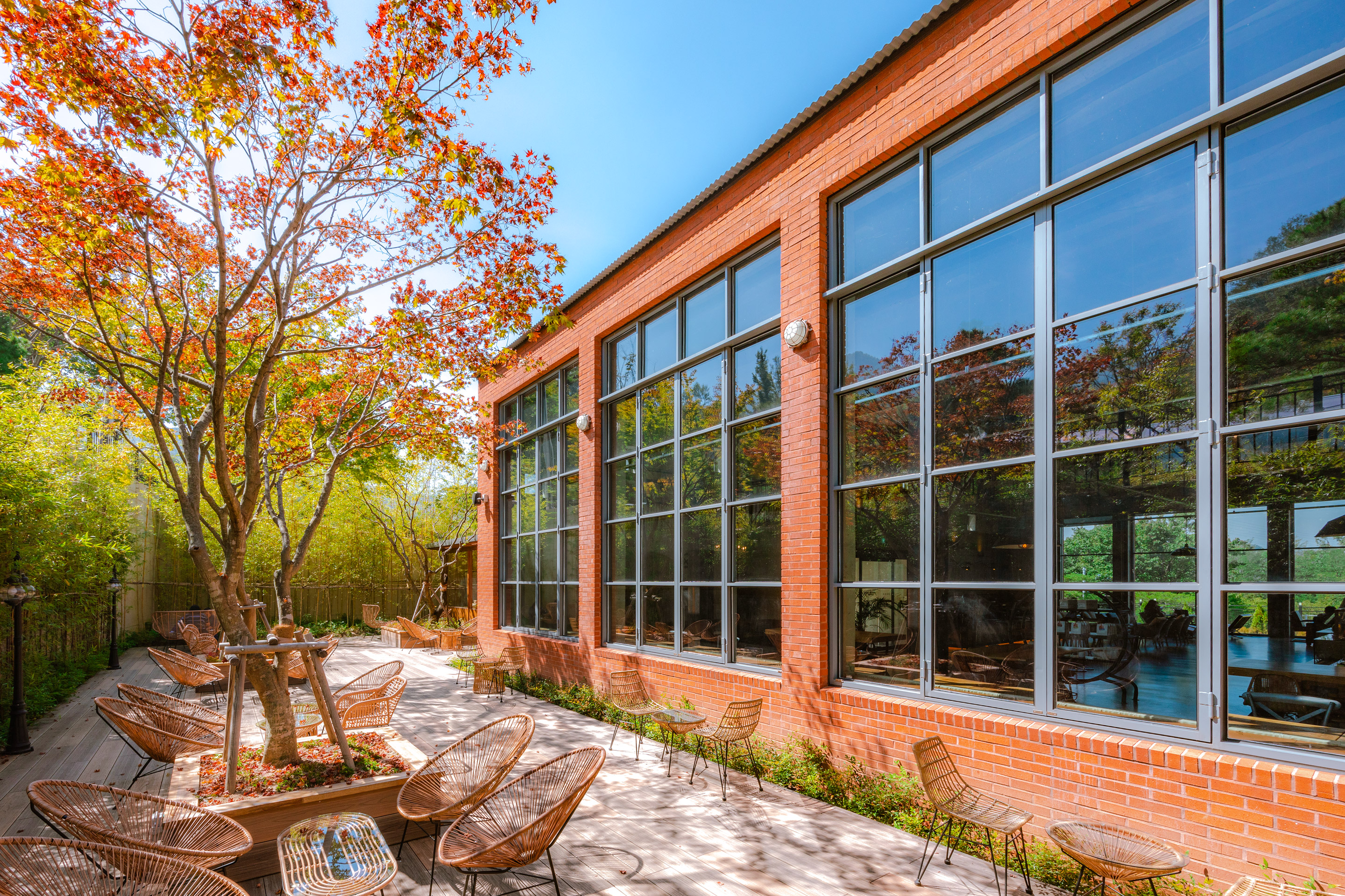 大邱琵瑟山多克比克咖啡总店-5