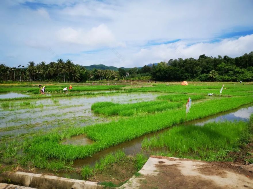 融入自然的艺术之旅 | 大茅远洋生态村艺术家团队踏勘纪实-27