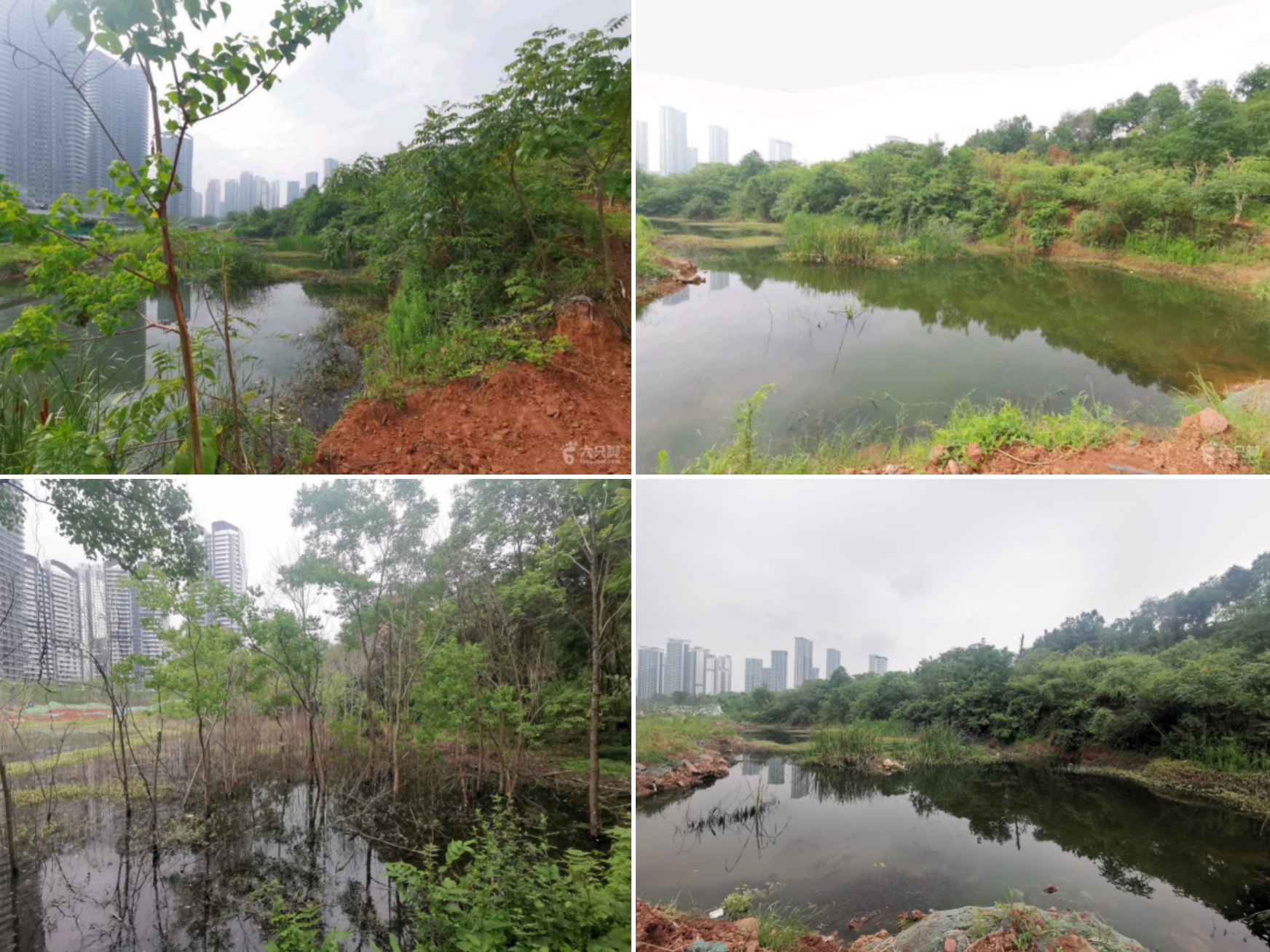 麓野公园丨中国成都丨四川乐道景观设计有限公司-87