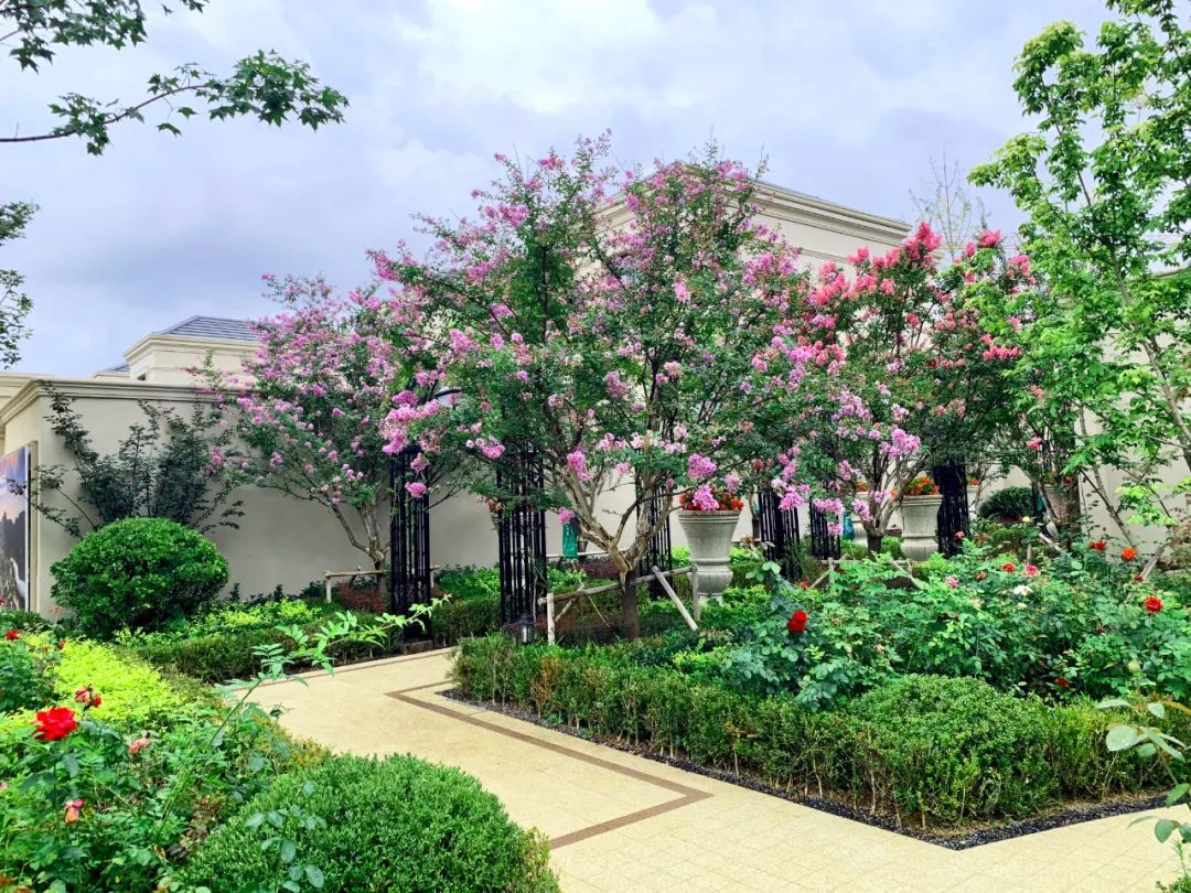 绿城玫瑰园葡萄酒小镇丨中国大连丨浙江蓝颂园林景观设计集团有限公司-64