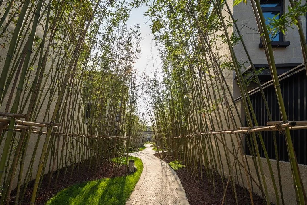 古韵古镇,颐养千年 | 建业·十里湖山一期大区-43