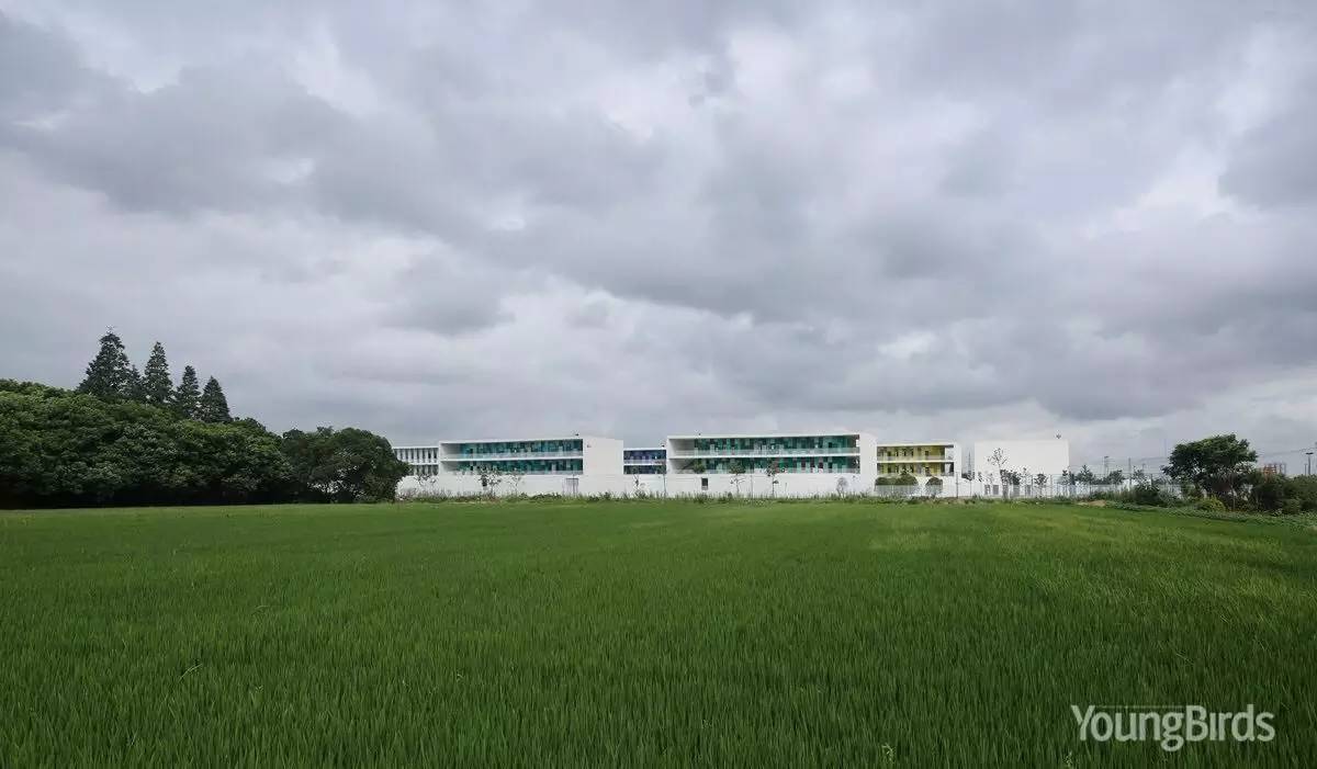 大舍 | 嘉定桃李园实验学校-10